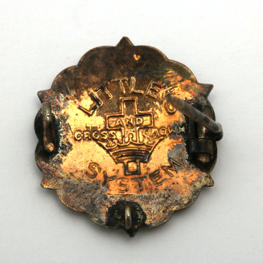 Assorted Costume Pins