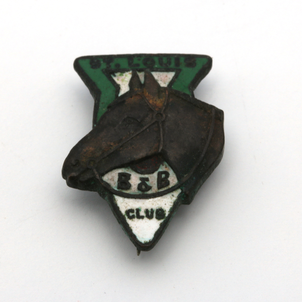 Assorted Costume Pins