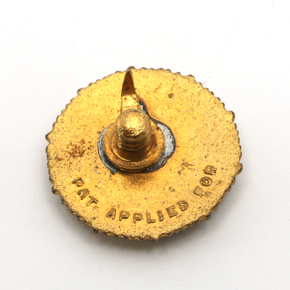 Assorted Costume Pins