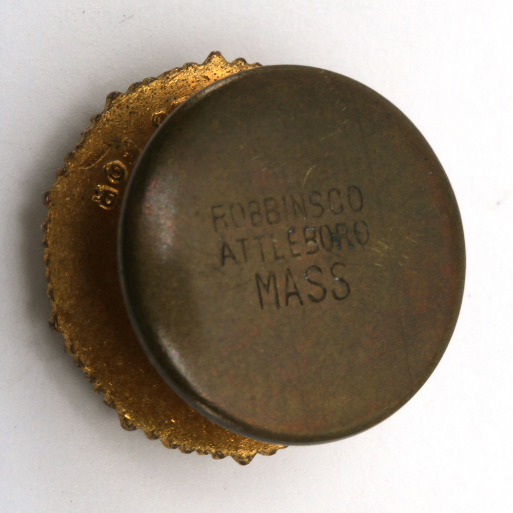 Assorted Costume Pins