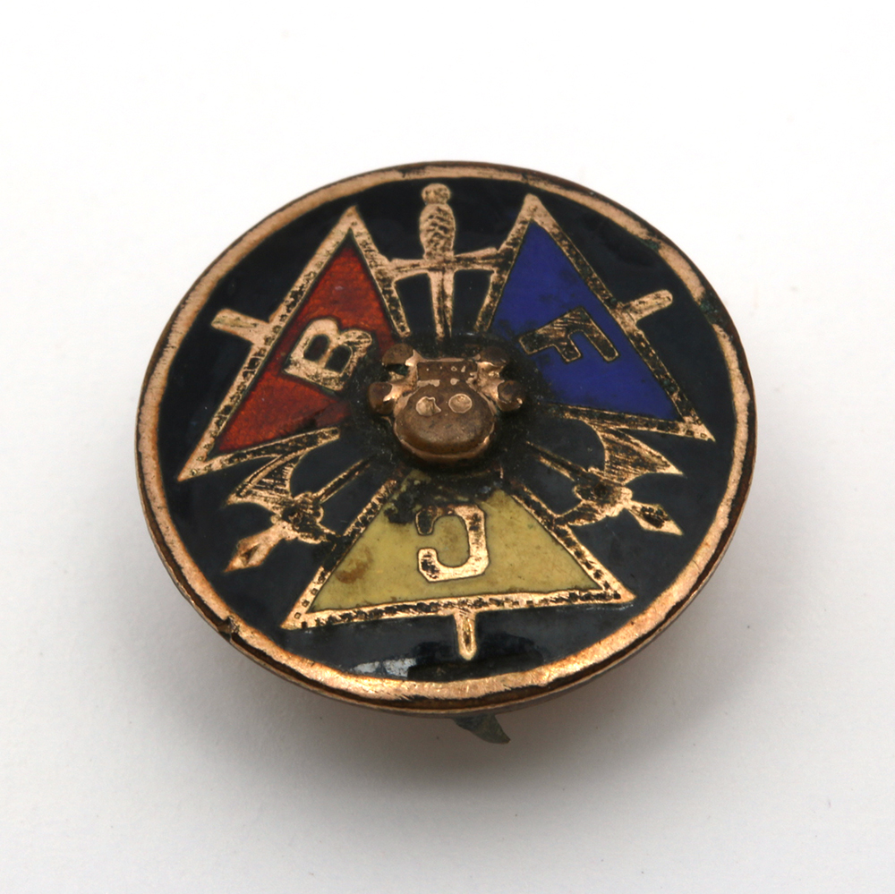 Assorted Costume Pins