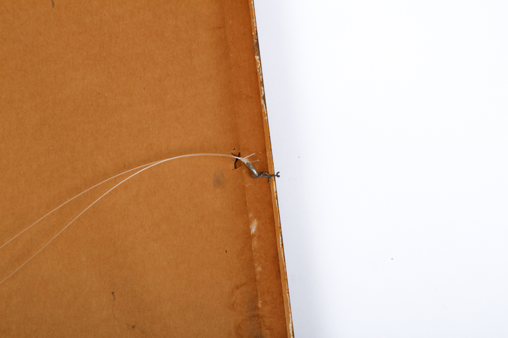 Vintage Botanical Print "Cinera cum flore" After Basilius Besler