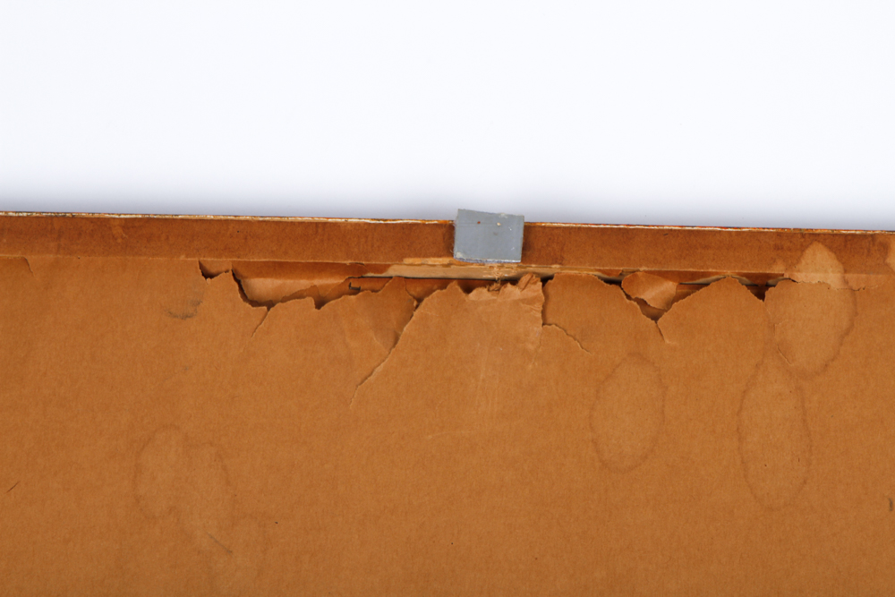 Vintage Botanical Print "Cinera cum flore" After Basilius Besler