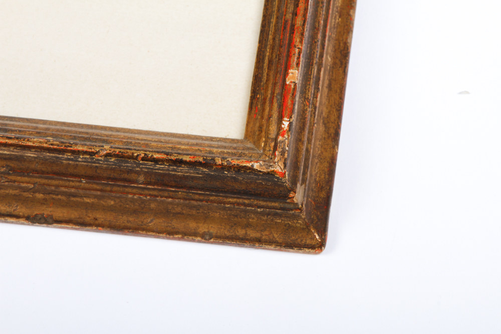 Vintage Botanical Print "Cinera cum flore" After Basilius Besler