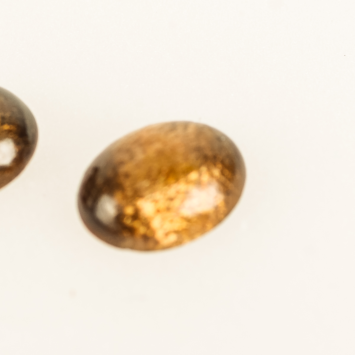 Pair of Loose Hawaiian Gold Coral Stones