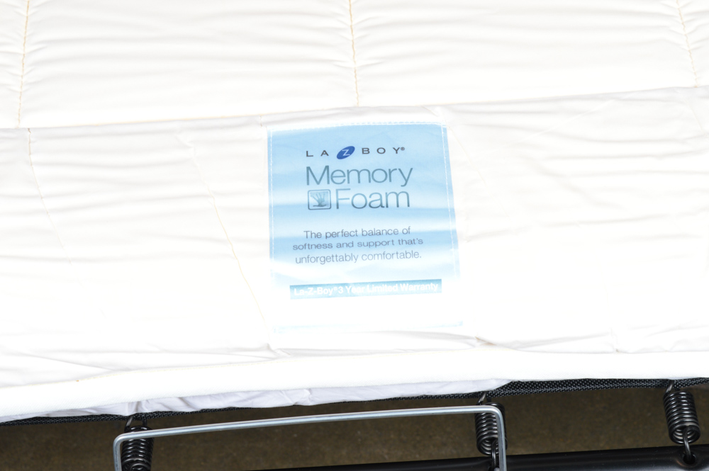 La-Z- Boy Sleeper Sofa