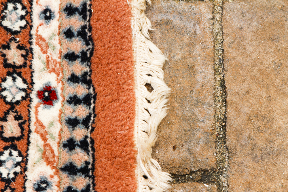 Handwoven Kerman-Style Area Rug