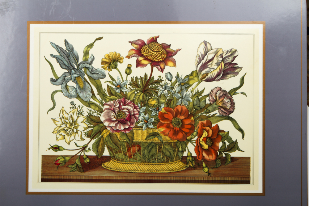 Pimpernel Cork Placemats