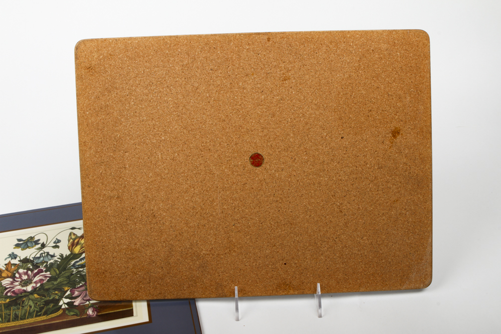 Pimpernel Cork Placemats