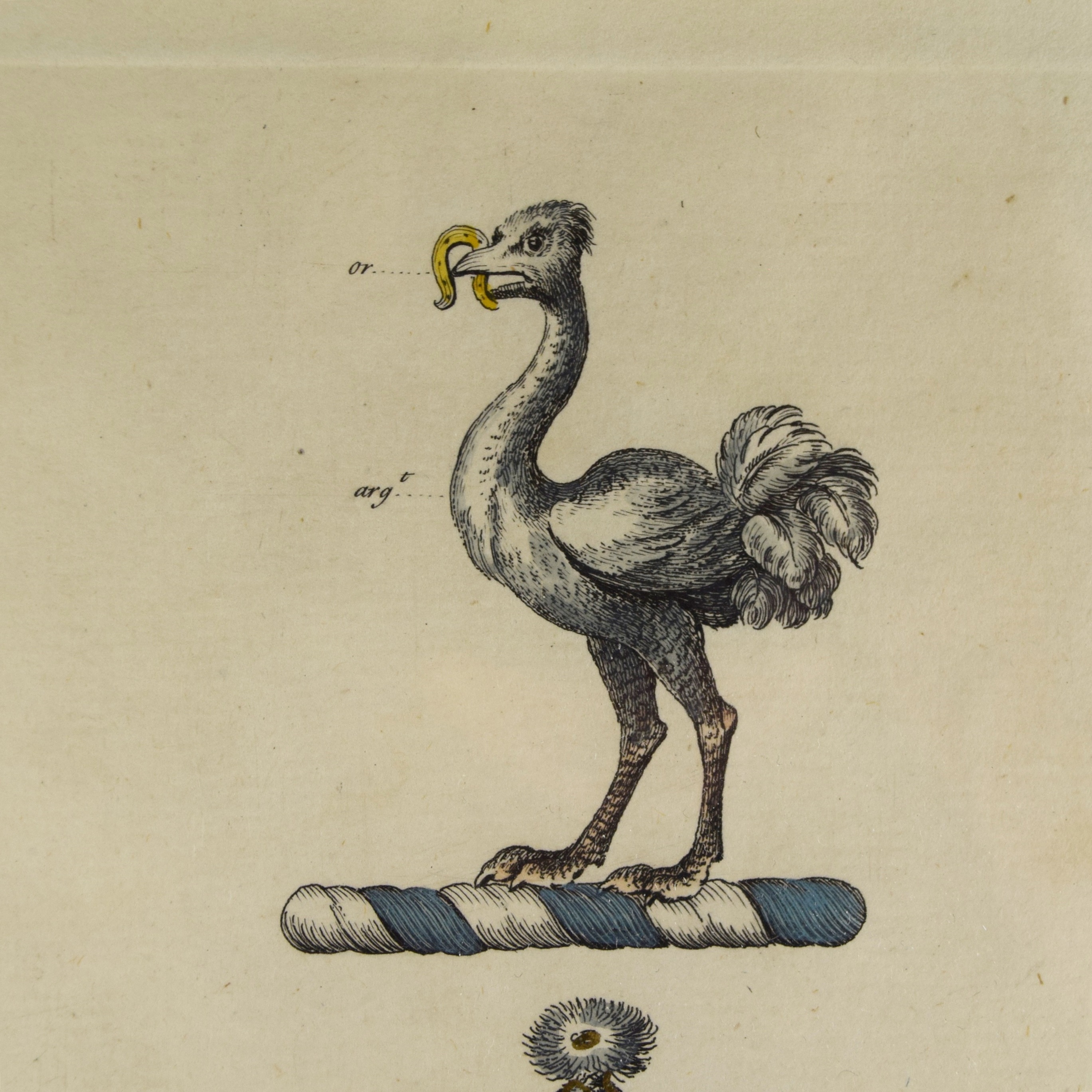 18th Century Hand Colored English Heraldic Bookplate, Henry Digby