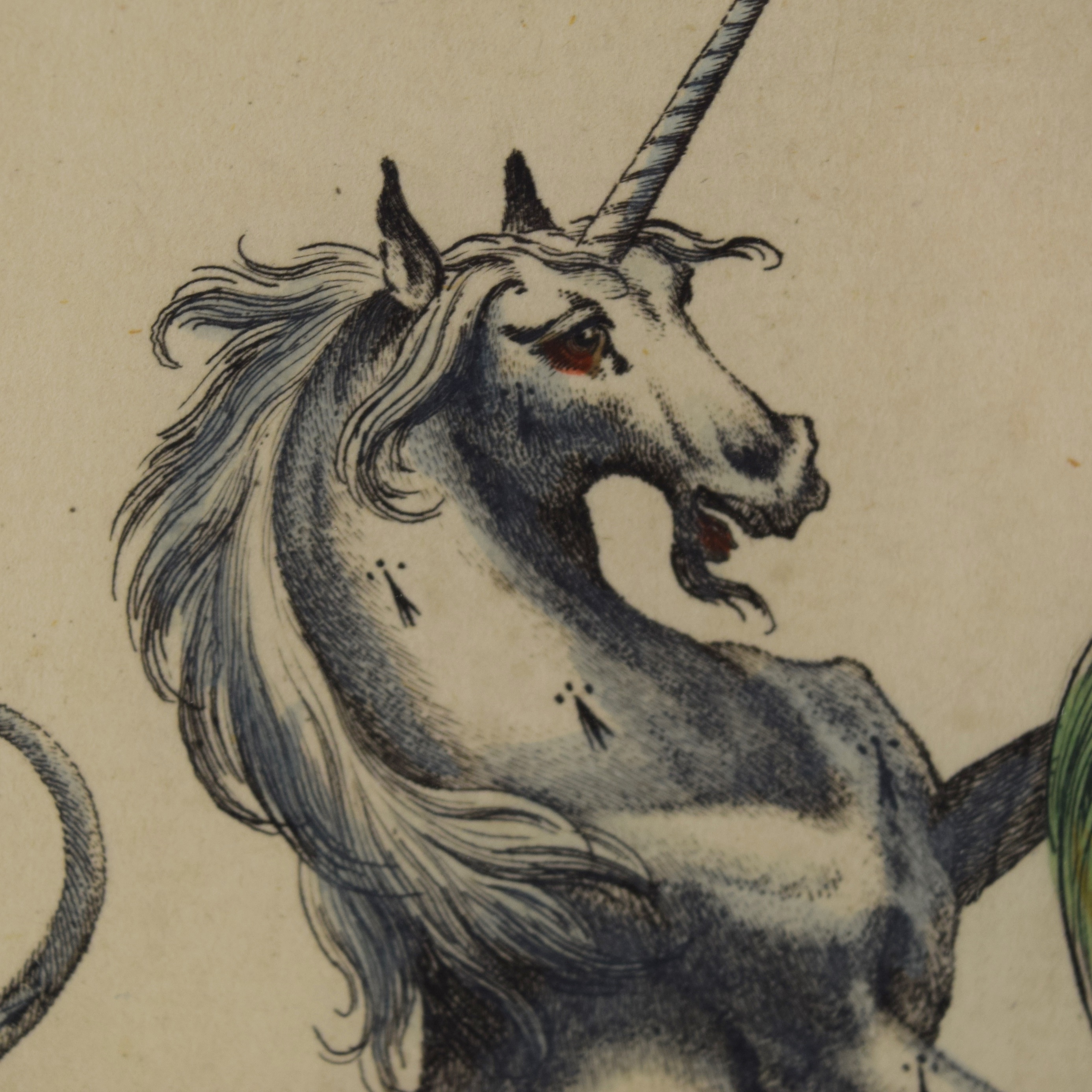 18th Century English Heraldic Bookplate, Earl Harry Grey