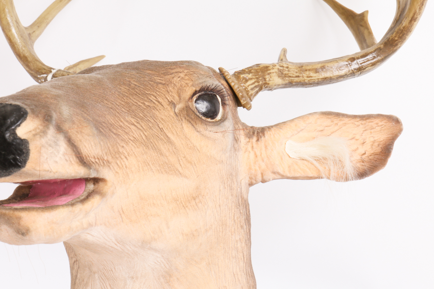 "Buck" The Singing Deer Wall Sculpture