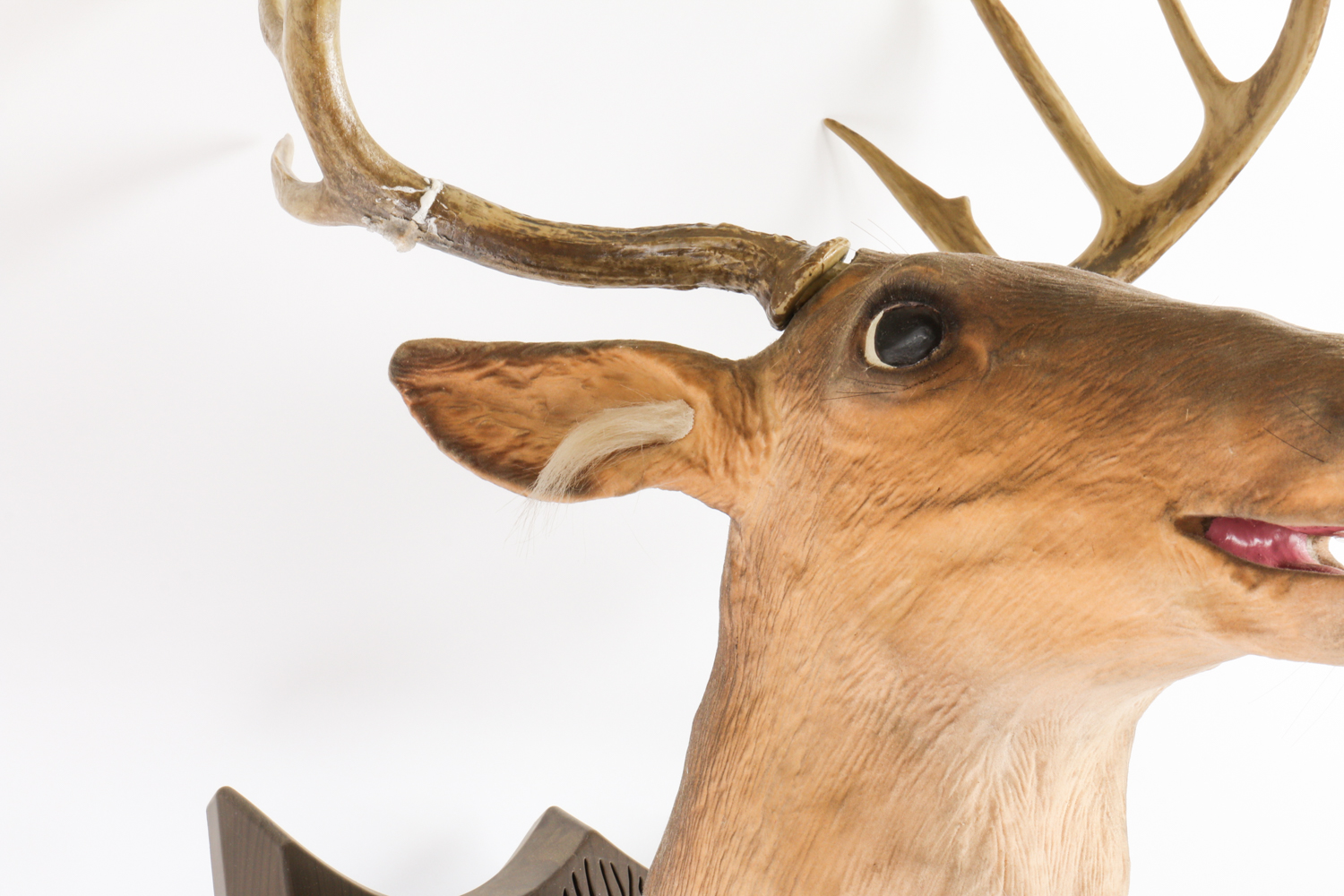 "Buck" The Singing Deer Wall Sculpture
