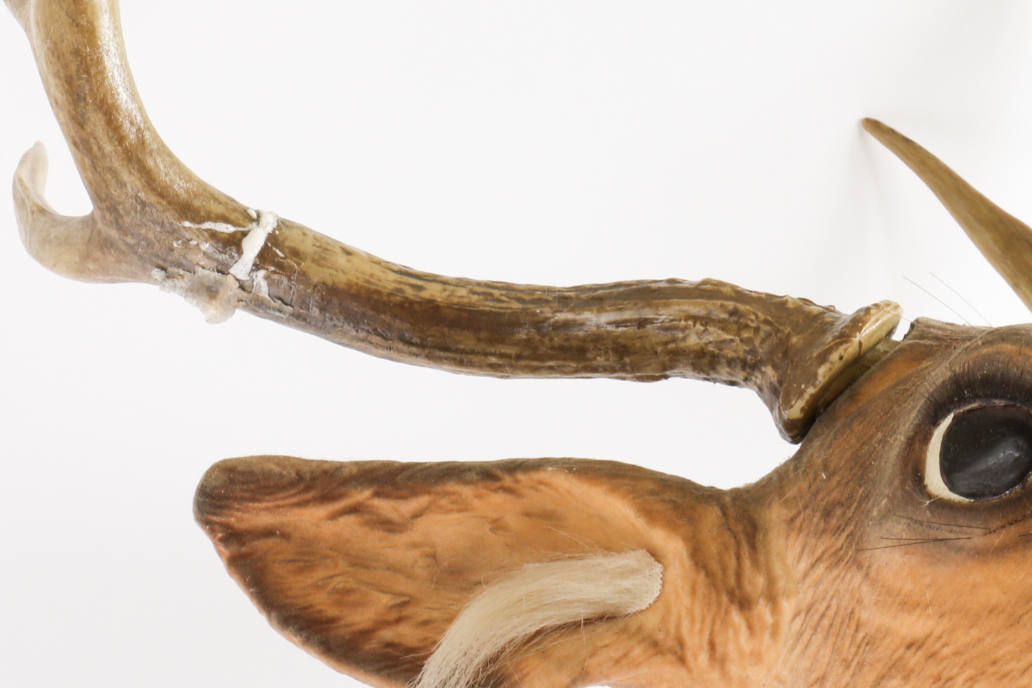 "Buck" The Singing Deer Wall Sculpture