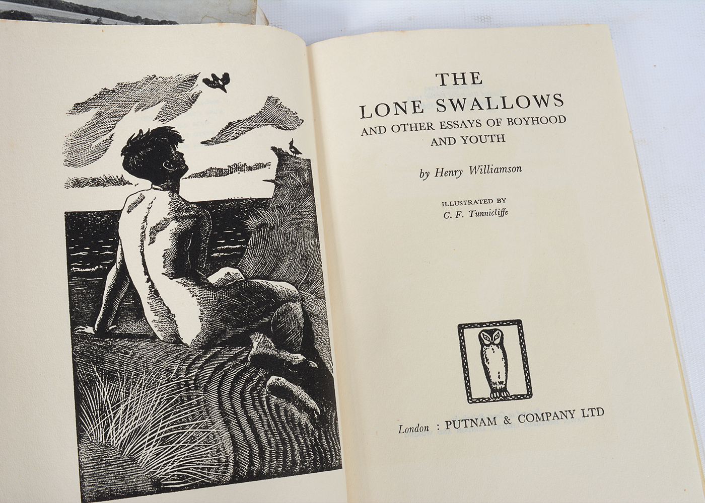 Vintage Novels and Essays