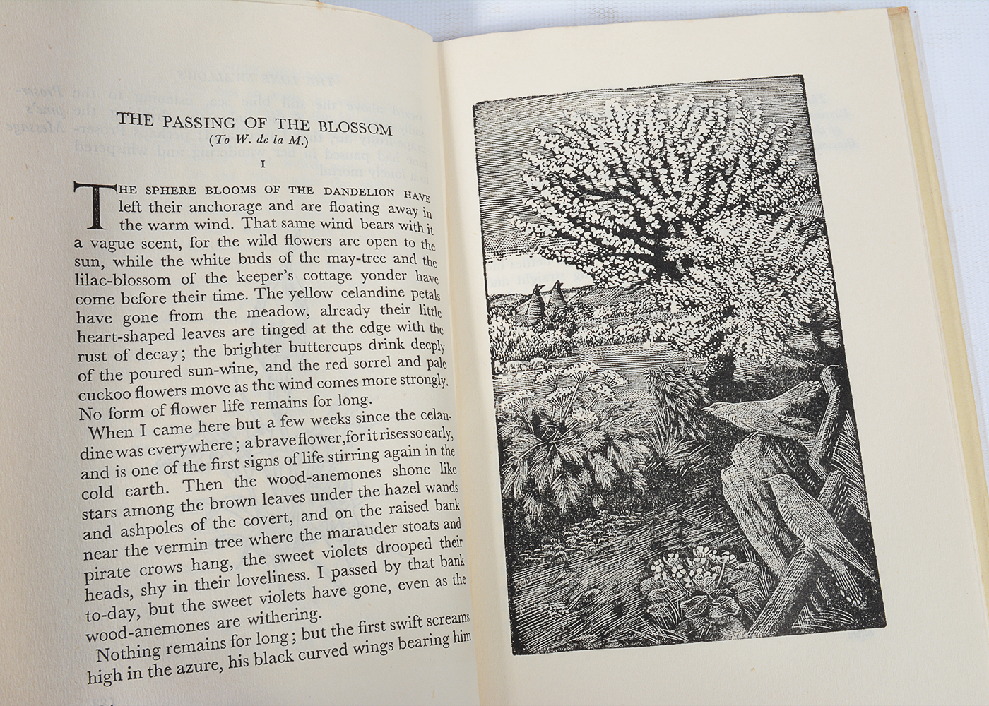 Vintage Novels and Essays