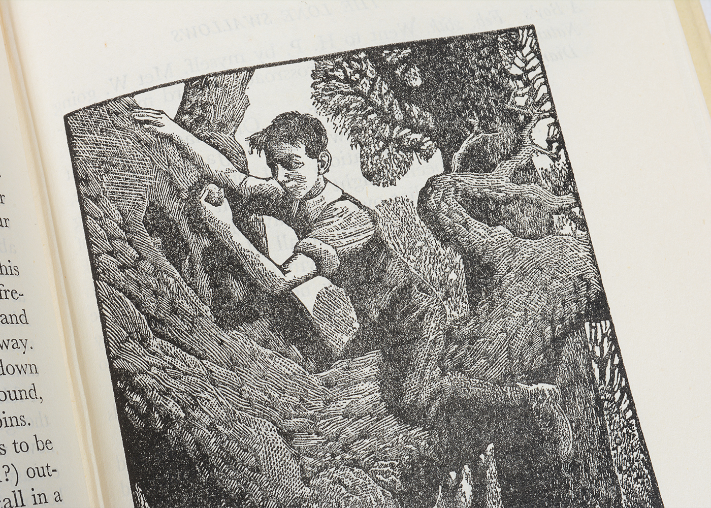 Vintage Novels and Essays