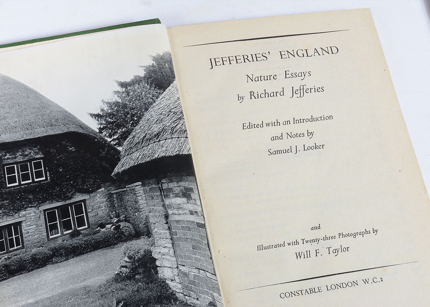 Vintage Novels and Essays