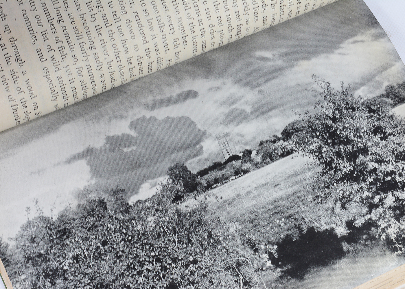 Vintage Novels and Essays