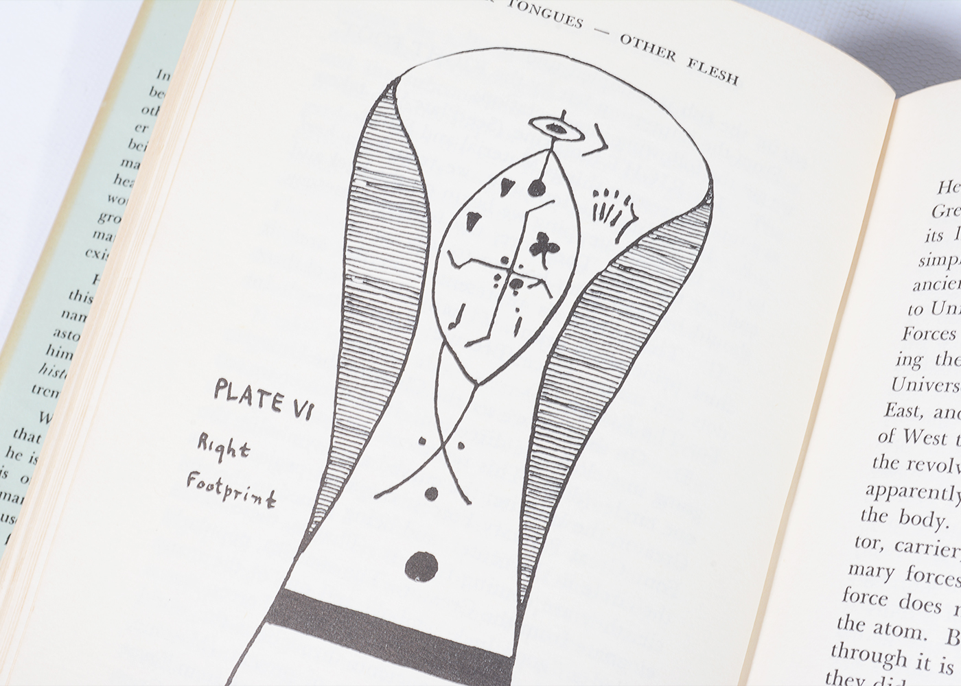 Vintage Novels and Essays