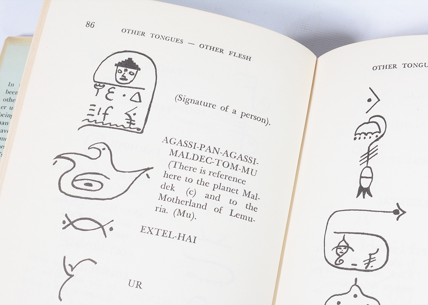 Vintage Novels and Essays