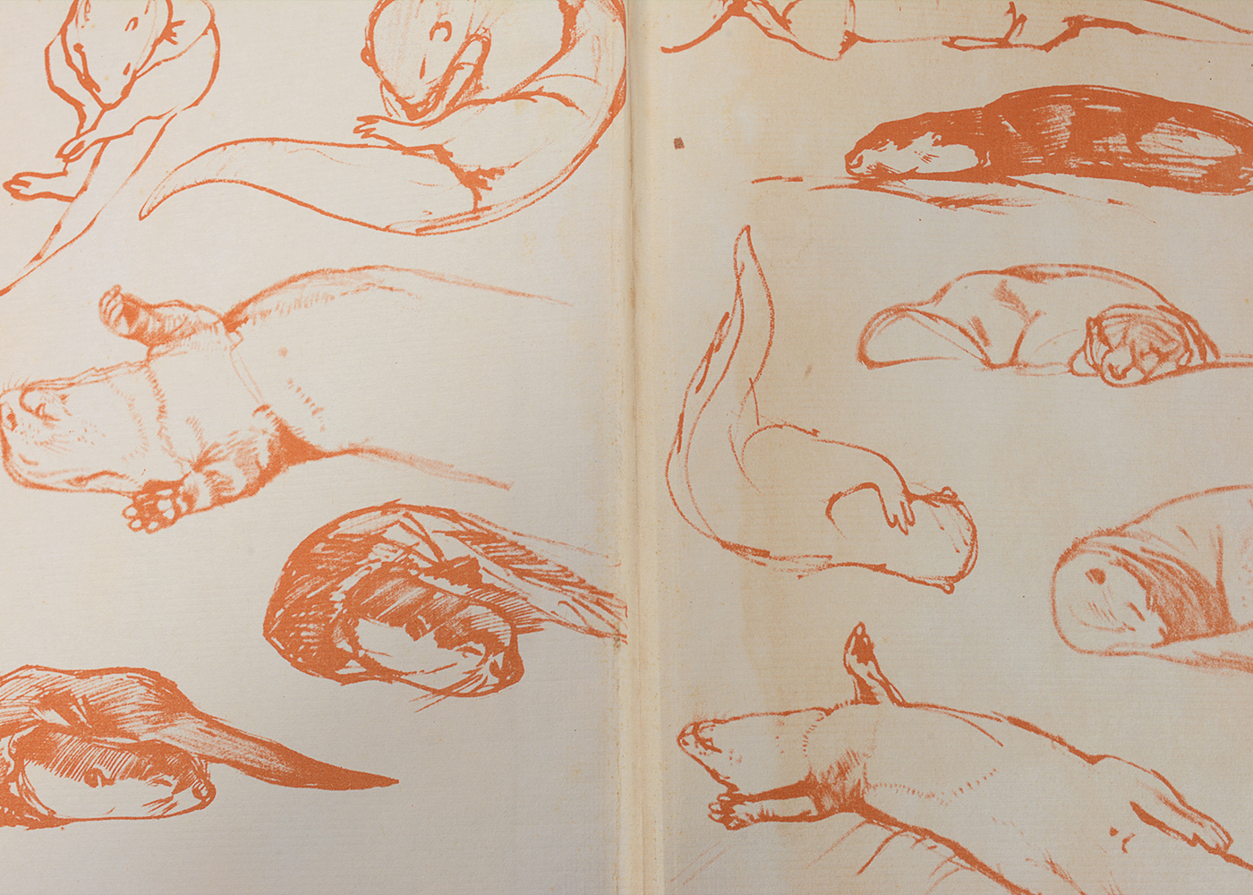 Vintage Novels and Essays