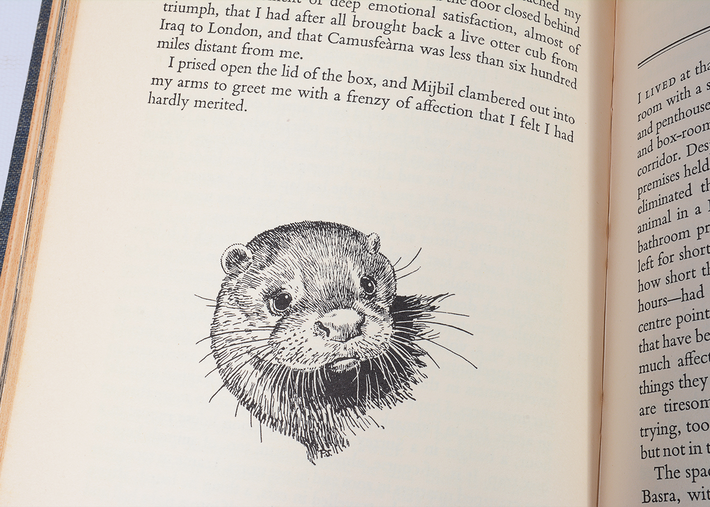 Vintage Novels and Essays