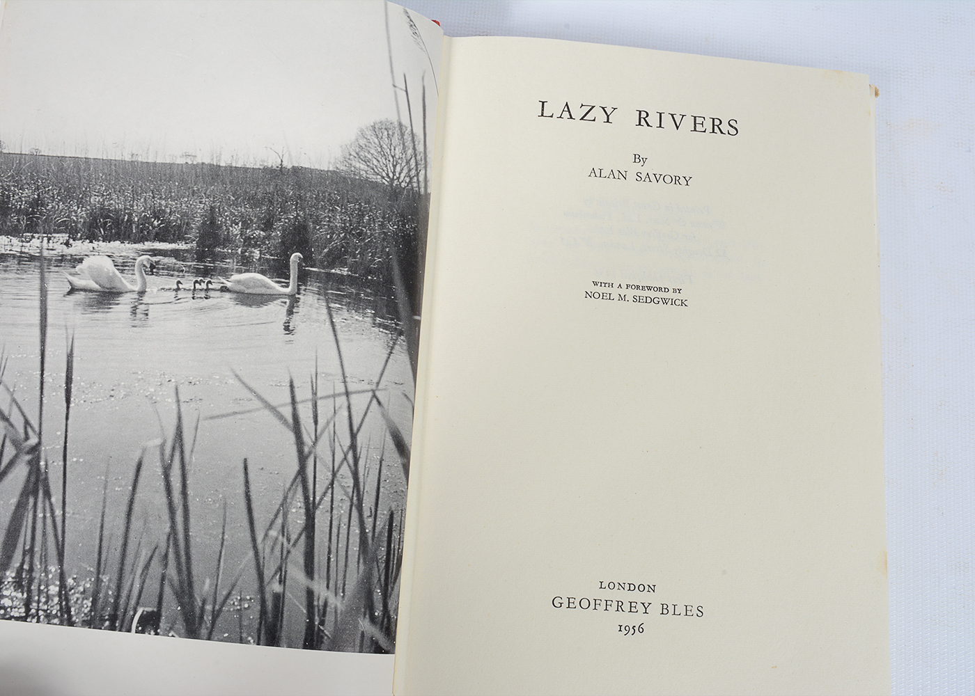 Vintage Novels and Essays