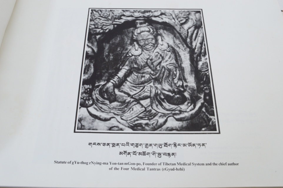 "Tibetan Medical Thangka of the Four Medical Tantras" Book