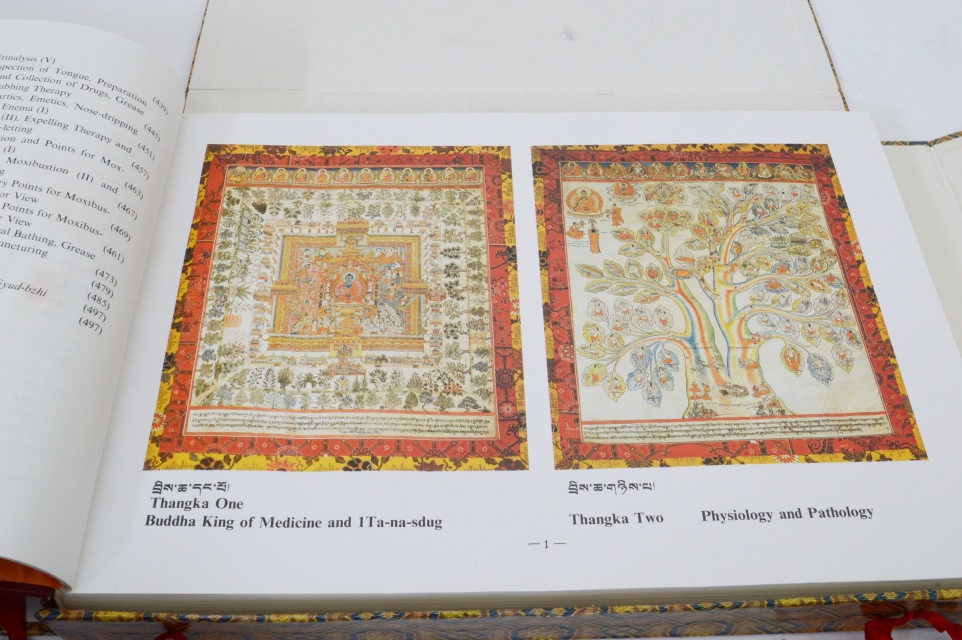 "Tibetan Medical Thangka of the Four Medical Tantras" Book