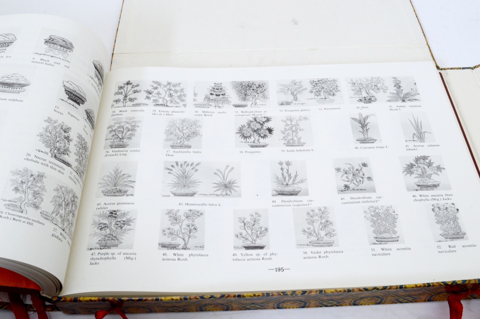 "Tibetan Medical Thangka of the Four Medical Tantras" Book