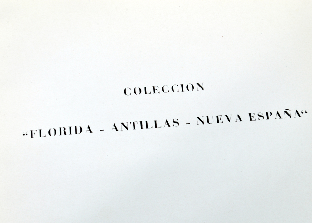 Collection of Art Books