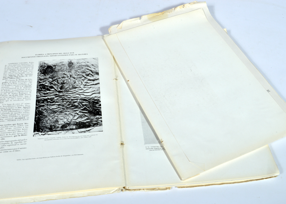 Collection of Art Books