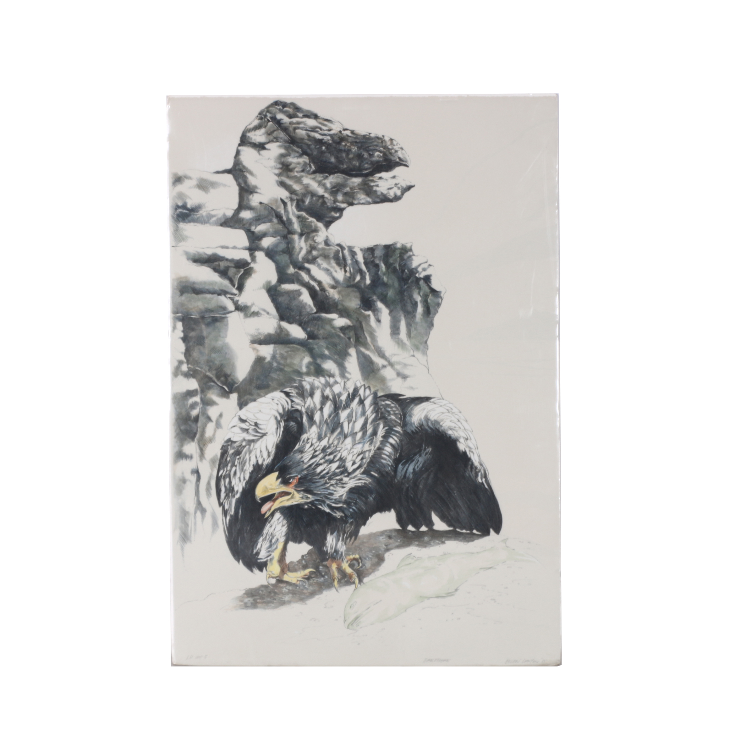 Ellen Lanyon Drawing of an Eagle