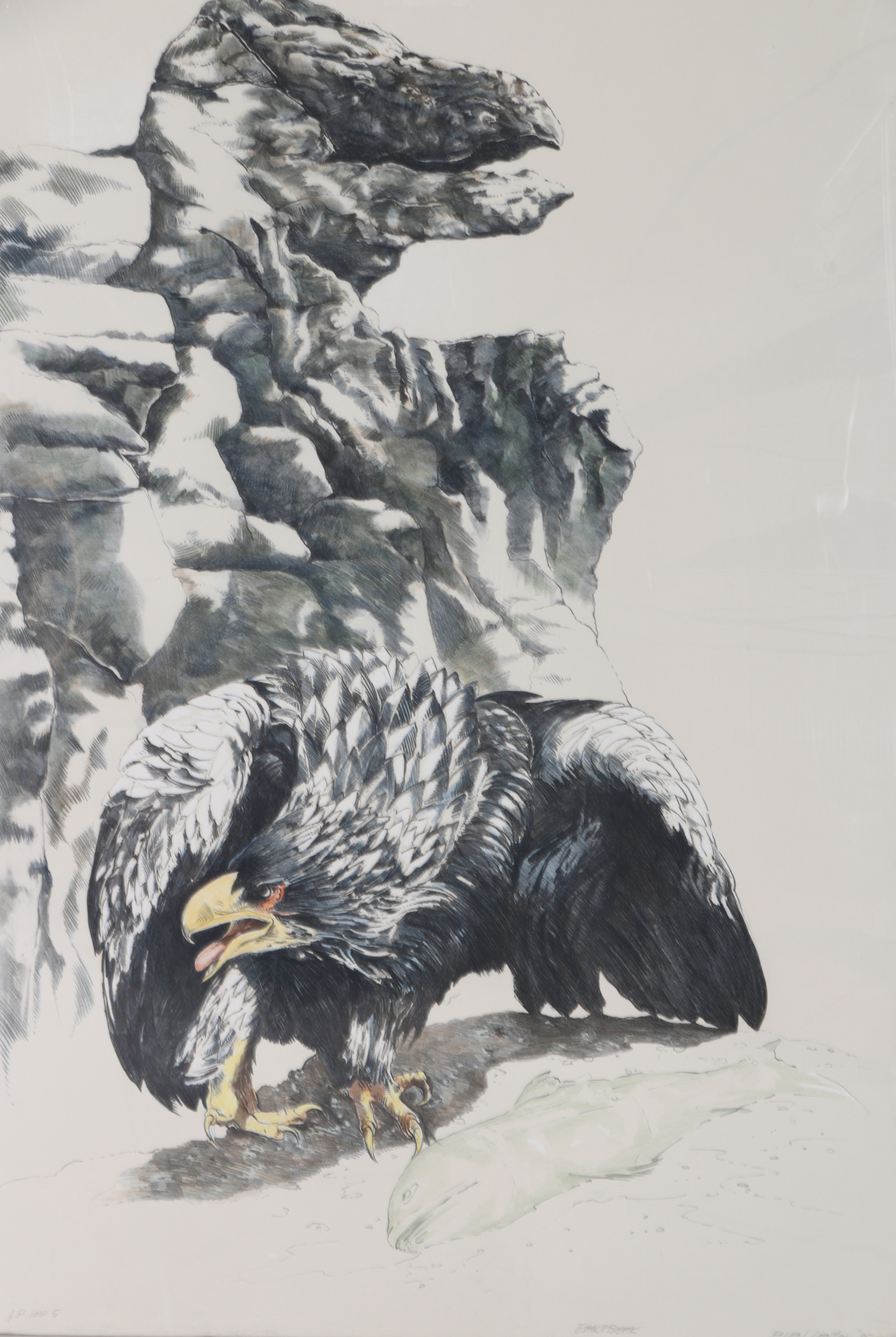 Ellen Lanyon Drawing of an Eagle