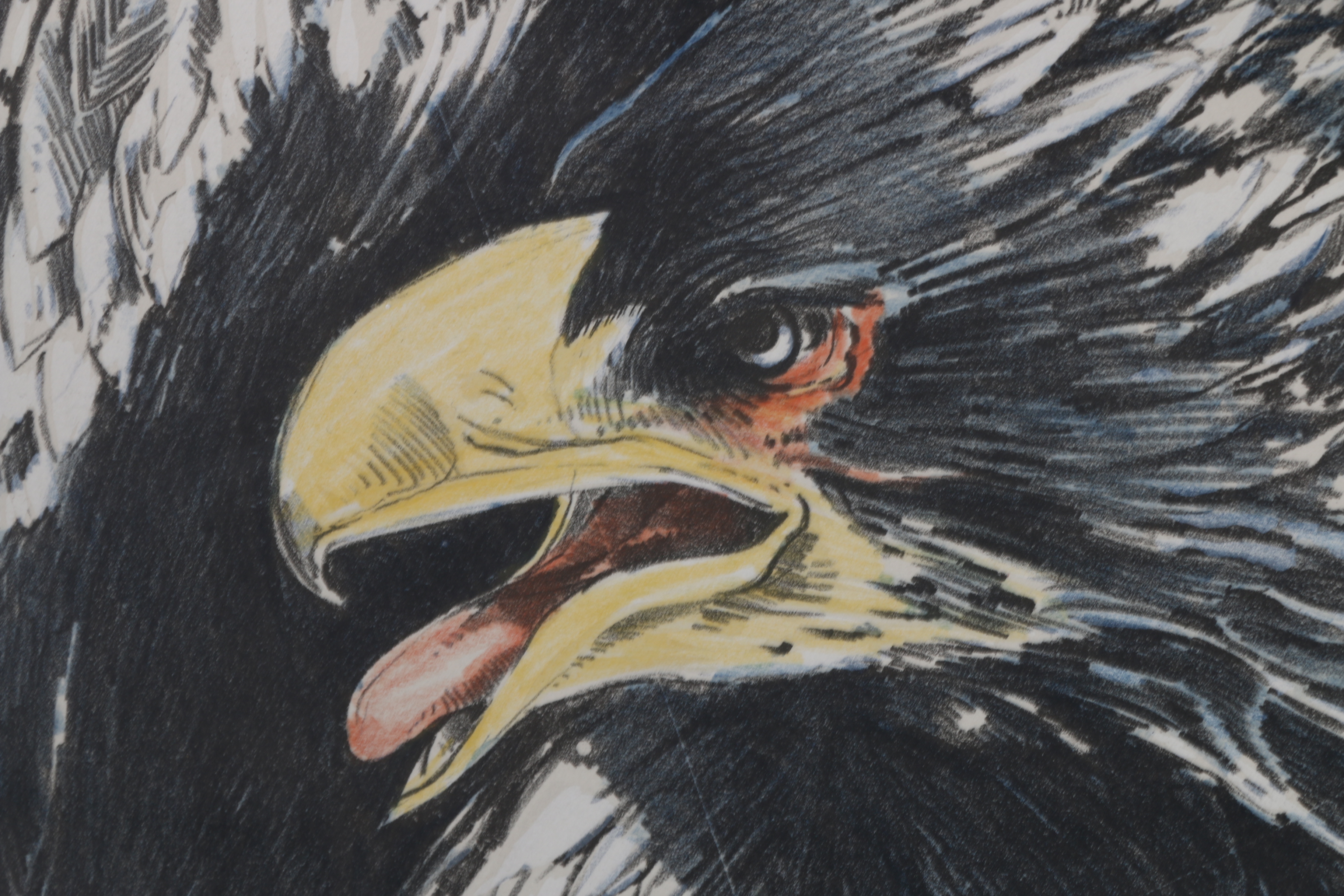 Ellen Lanyon Drawing of an Eagle