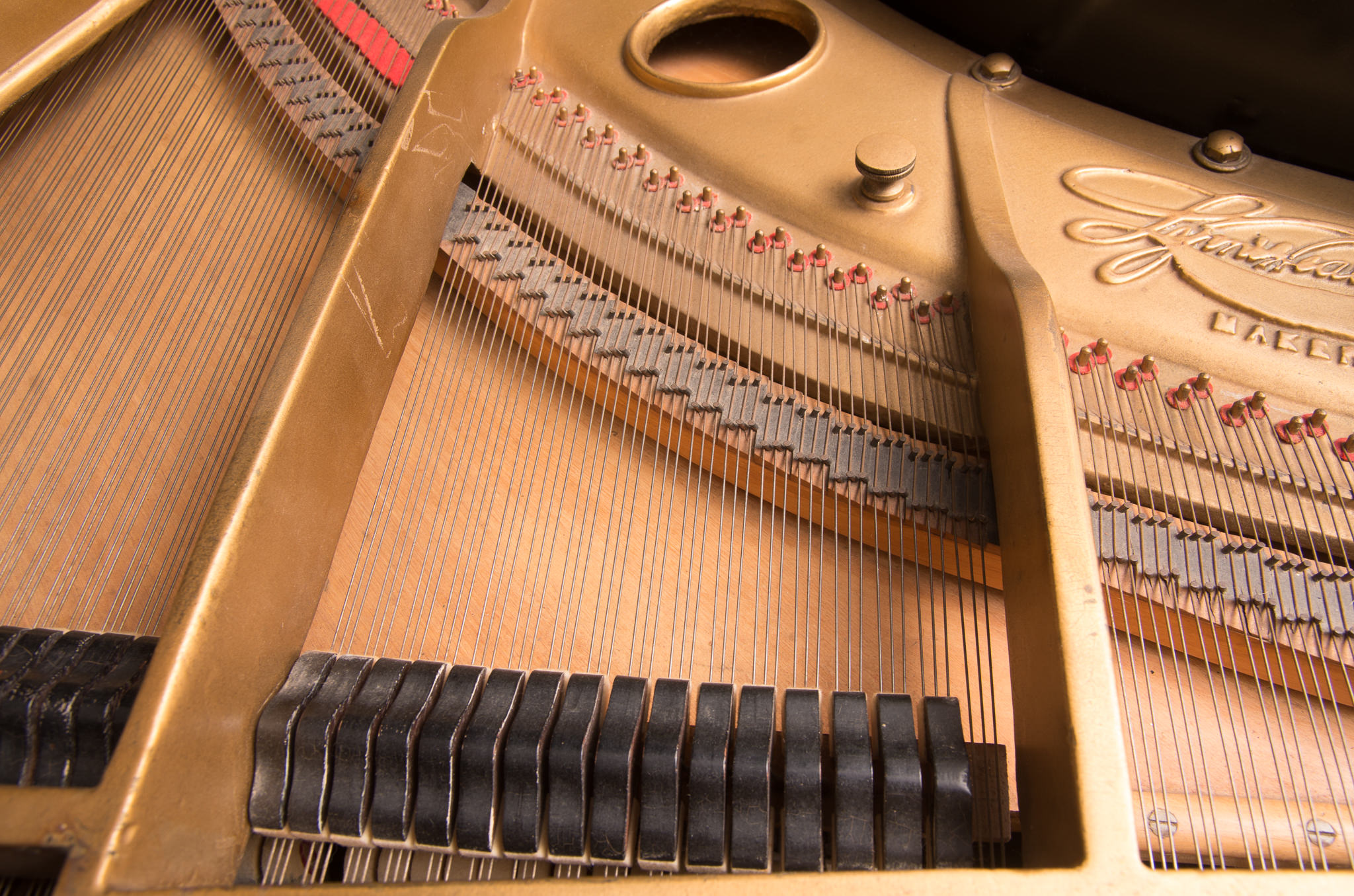 Lyon & Healy Grand Piano