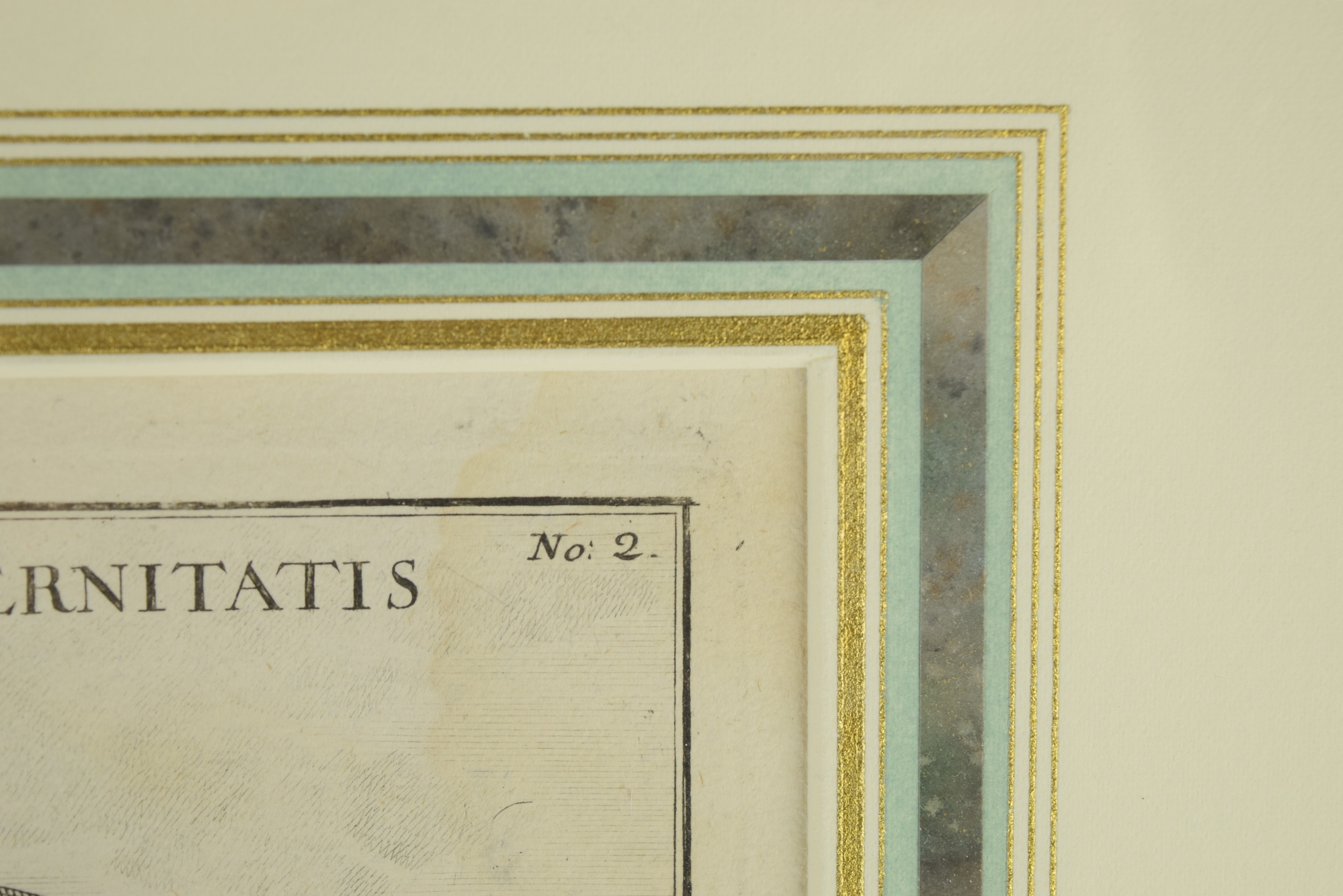 Large French Antique Bookplate Engraving of Classical Urns