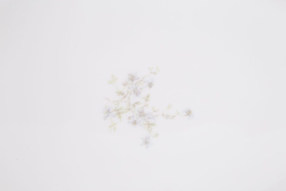 Vintage Charles Field Haviland Limoges Serving Pieces