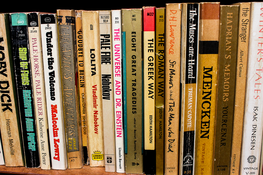 Collection of Paperback Fiction Books