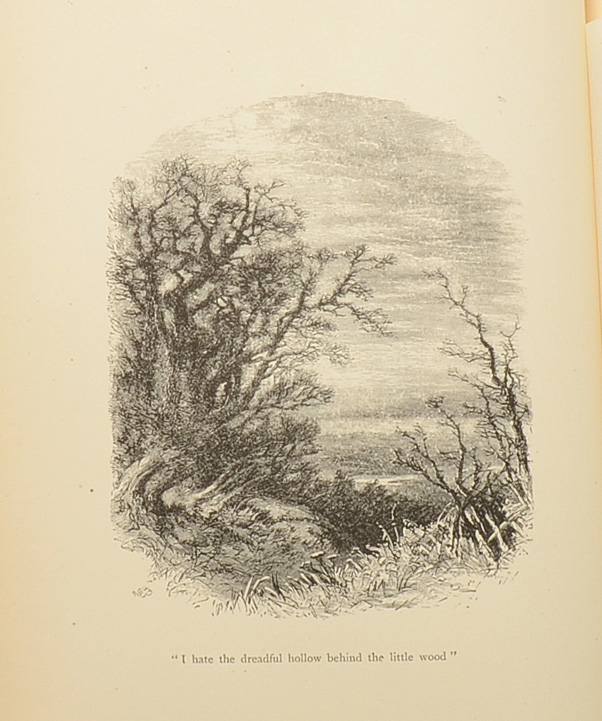 1866 "Tennyson's Poems" Illustrated Book