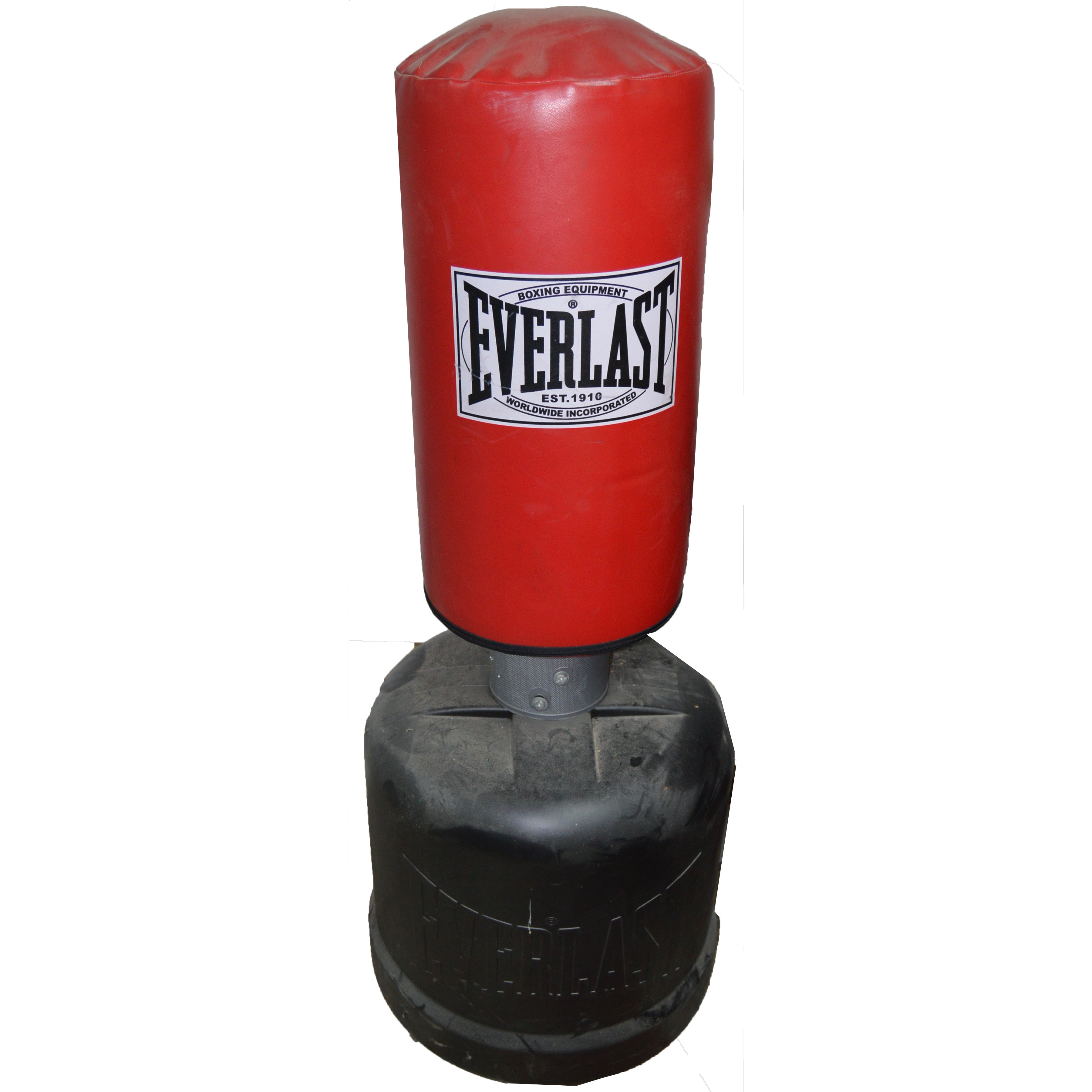 Everlast Free-Standing Punching Bag