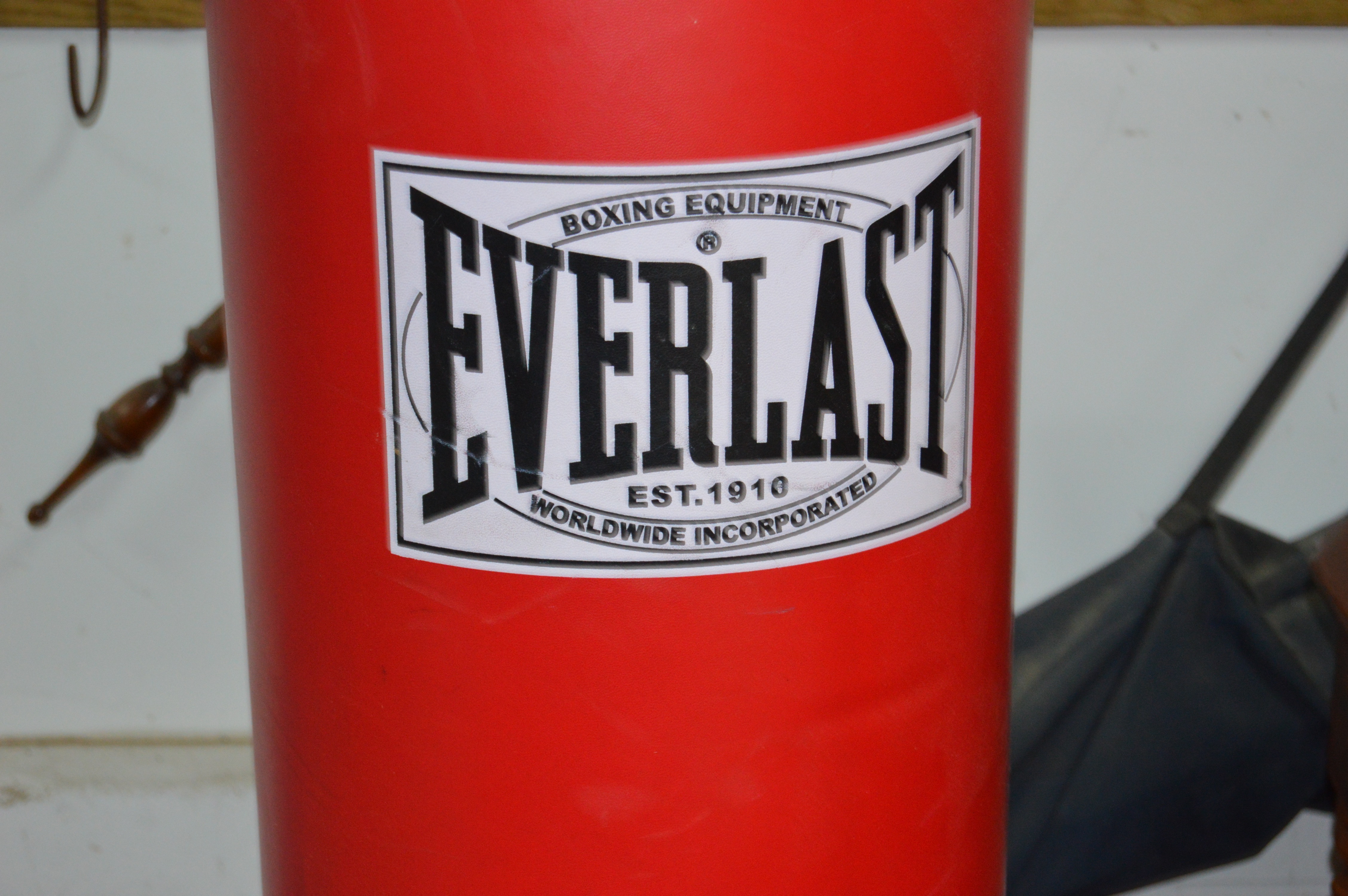 Everlast Free-Standing Punching Bag