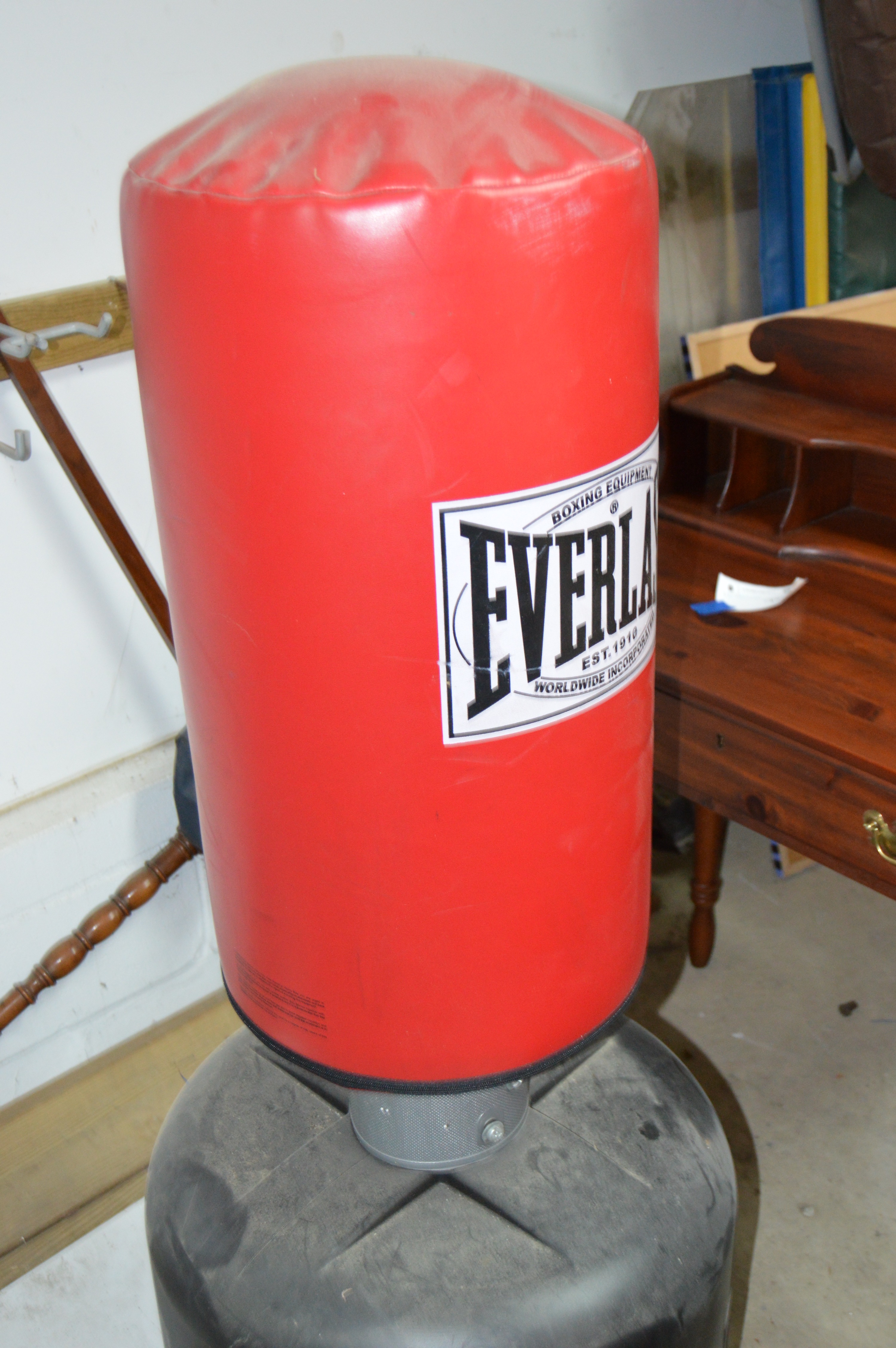 Everlast Free-Standing Punching Bag