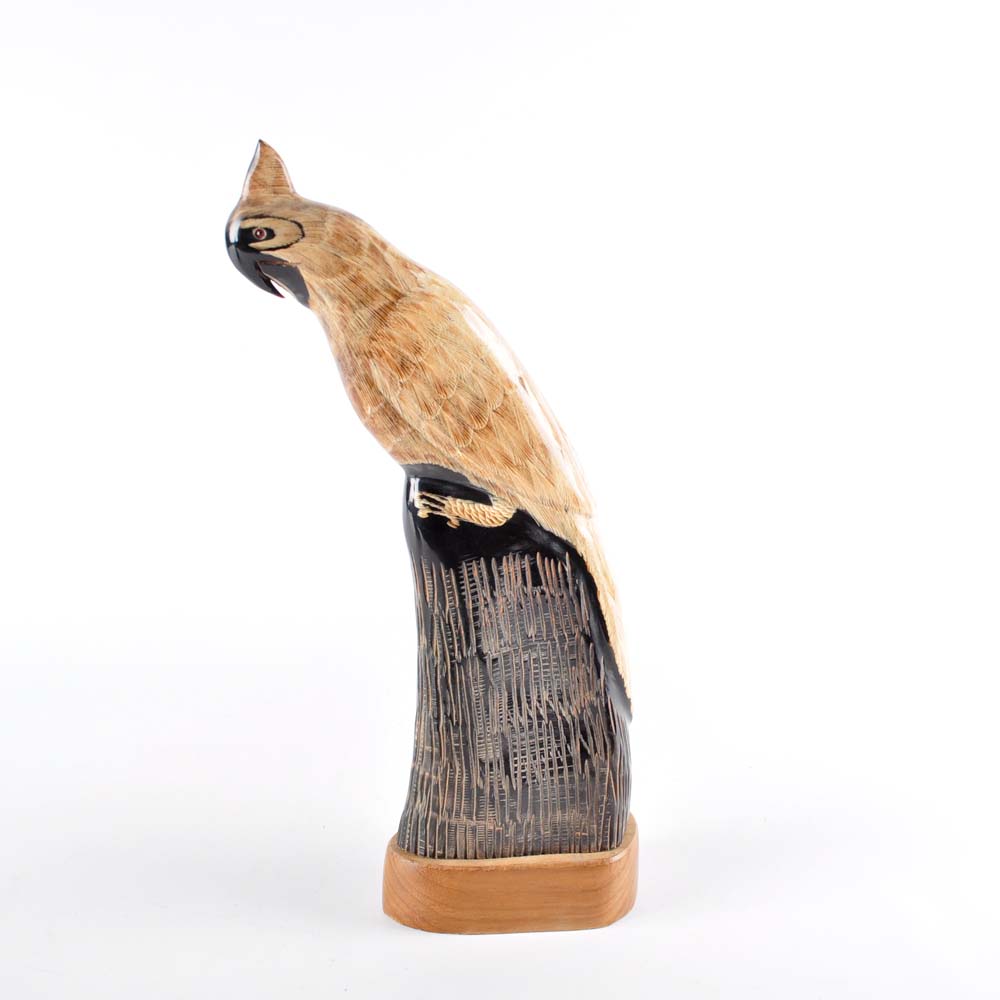 Hand-Carved Water Buffalo Horns