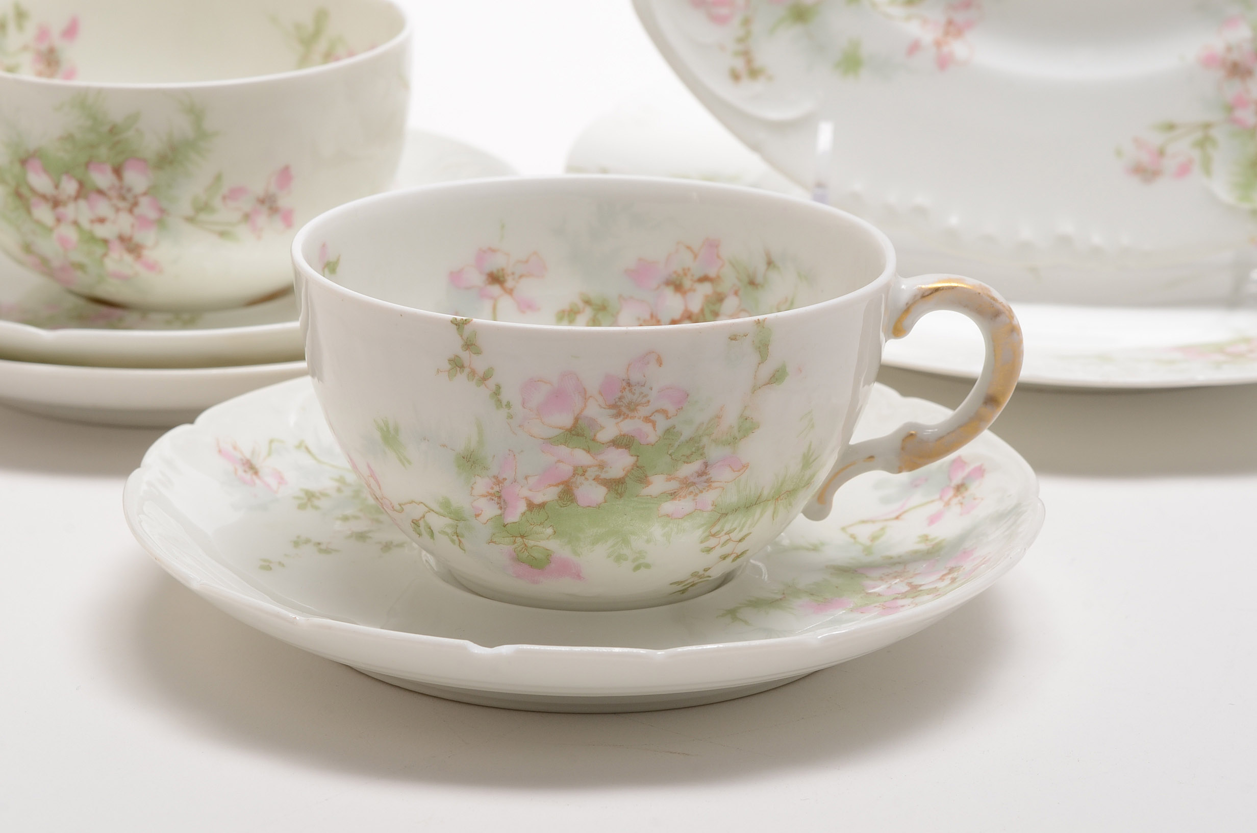 Haviland Co. French Limoges and More