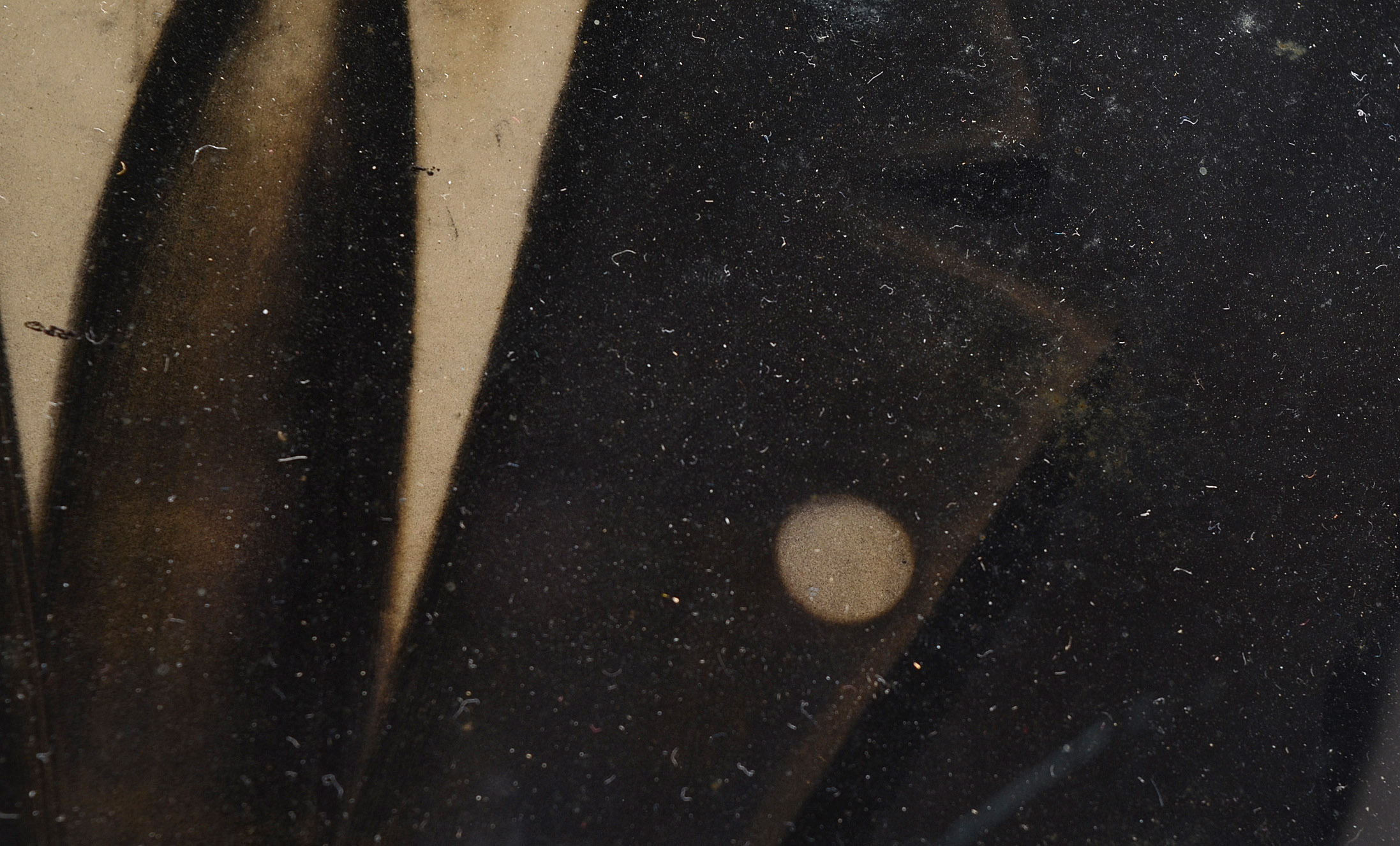 1910s-1920s Gentleman Framed Portrait