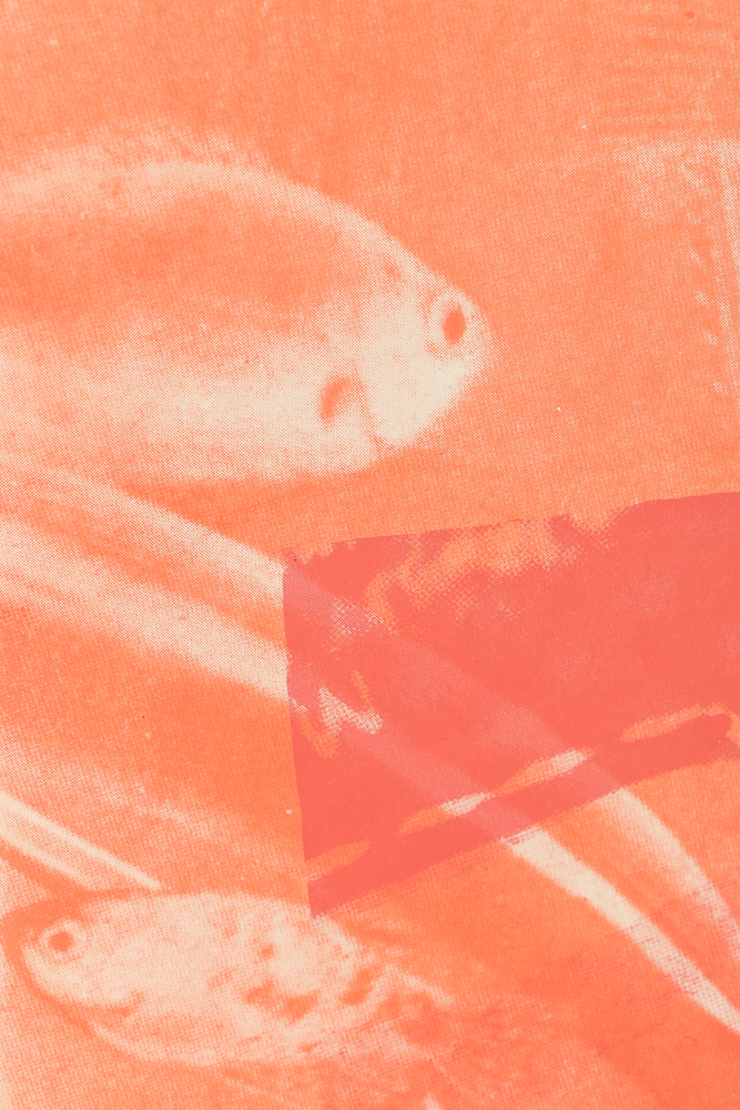 James Rosenquist Limited Edition Serigraph "For Love"