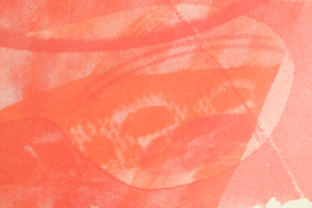 James Rosenquist Limited Edition Serigraph "For Love"