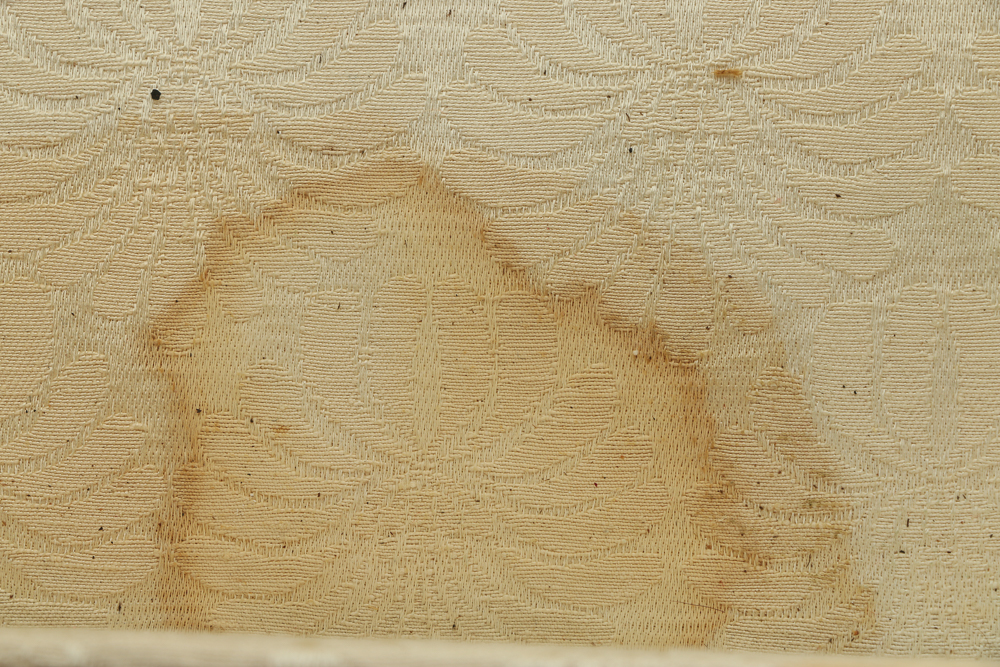 Vintage Display Case Coffee Table